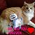 Pam Curtiss's profile image