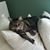 Mary Campano's profile image