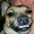 Bob Fields's profile image