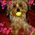 Marcia Sanders's profile image