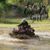 Terri Mountford's profile image