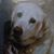 Haley Proietto's profile image