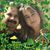 Chrissy Cashin-Ventre's profile image