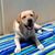 Nancy Adkins's profile image