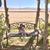 Deisy Claro's profile image