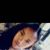 Asneyri De Fernandez's profile image