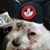 Joy Ochoa's profile image