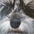 Nancy Johnson's profile image