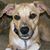 Hank Williams Lee's profile image