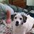 Julie F Setzer's profile image