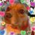 Catherine Brashears Chubb's profile image