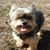 Annie Devo's profile image