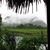 Pamela Singh's profile image