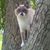 Karen Arnold's profile image