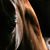 Beverly Anstead's profile image