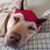 PennyLane Leonard's profile image
