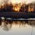 Terrie Henson Fiehn's profile image