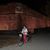 Lizbeth Davern's profile image