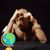 Shorty Strong's profile image