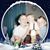 Tina Hall Mckee's profile image