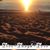 Sandee Schlenker Salyer's profile image