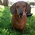 Eicha Rocky's profile image