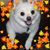 Betty Lukondi Hodge's profile image