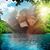 Christy Softley's profile image