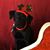 Shari Goldfarb's profile image