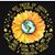 Donna Rose's profile image