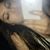 Samantha Foerster Newbold's profile image