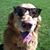 Tim Keogh's profile image