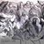 Stiles Velos Fifield's profile image