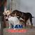 Robyn Conners's profile image