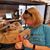 Laura Zitzelberger's profile image