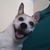 Olinger Michael Joseph's profile image