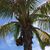 Lori Wilson Tozier's profile image