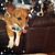 Sheila C.'s profile image