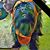 Rob Davis Staup's profile image