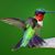 Judith Learmann's profile image