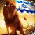 Beny Bueno Benigno's profile image