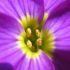 MONIK A.'s profile image