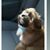 Carolyn Jackson's profile image