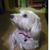 Susan Zacher Krushenski's profile image