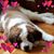 Joni Porras's profile image