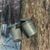 Peg Checchi's profile image
