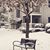 Abeer Alwehaibi's profile image