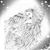 Debbie Conner's profile image
