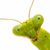 Kathy Bishop Smiley's profile image