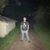 Amandeep Singh's profile image
